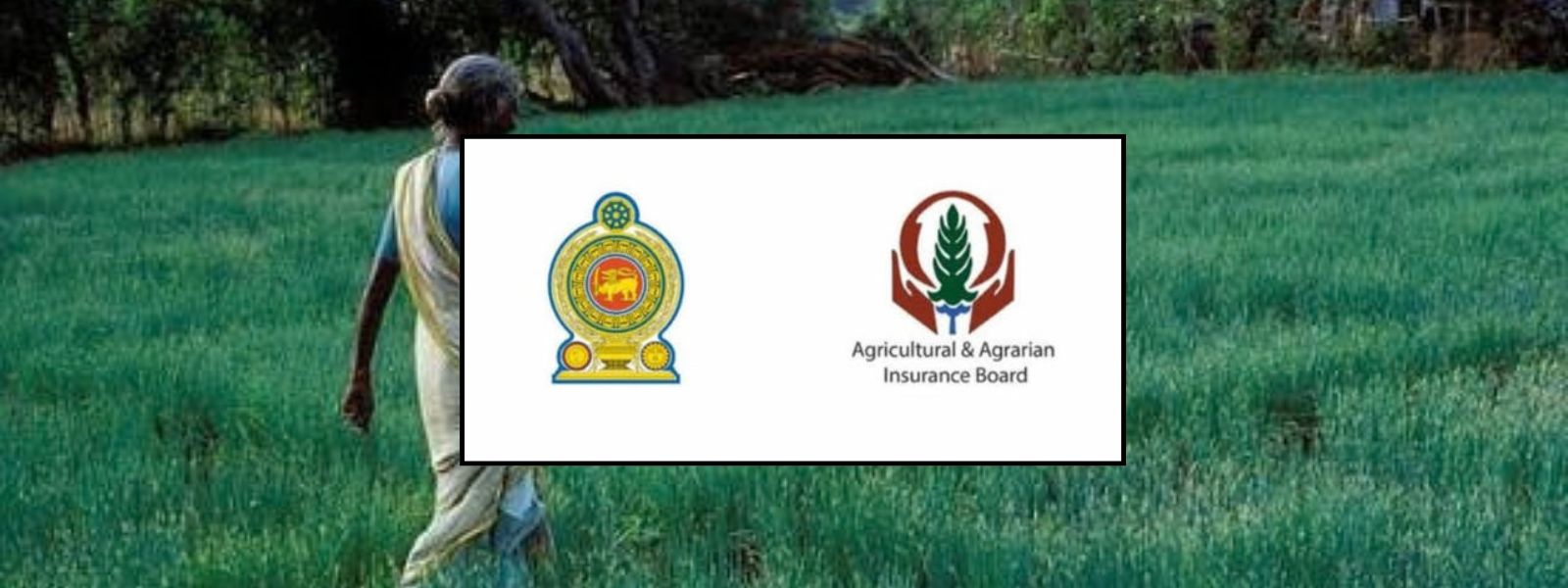 Drought Compensation Paid to 1,490 Farmers